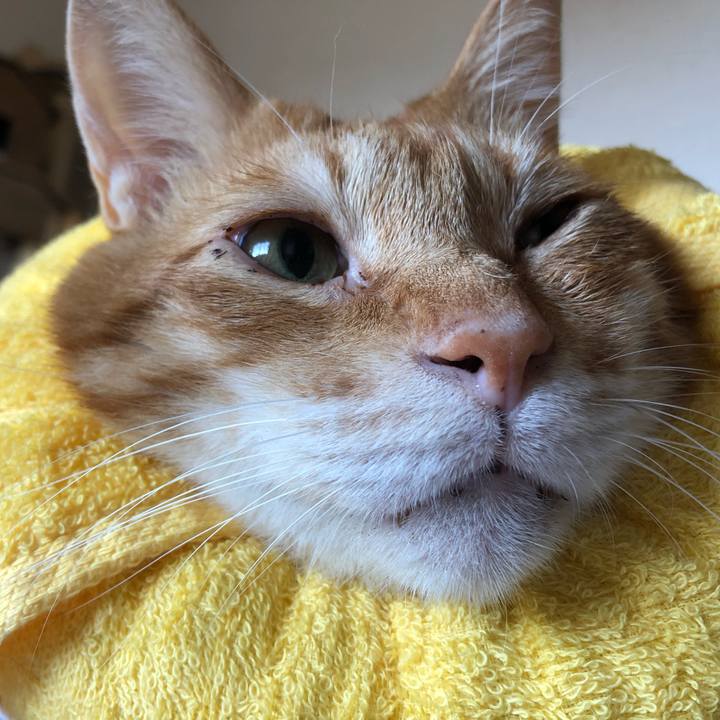 75812e29 7a86 4c06 87fc 47885fb68fae 1600658993383