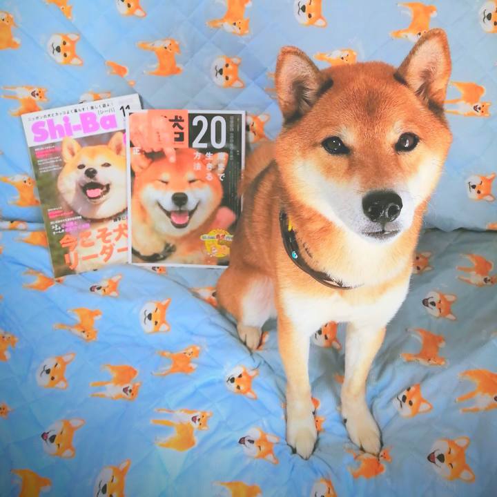 75814600 e000 45e4 8bb4 23f455b8227d 1601433467509