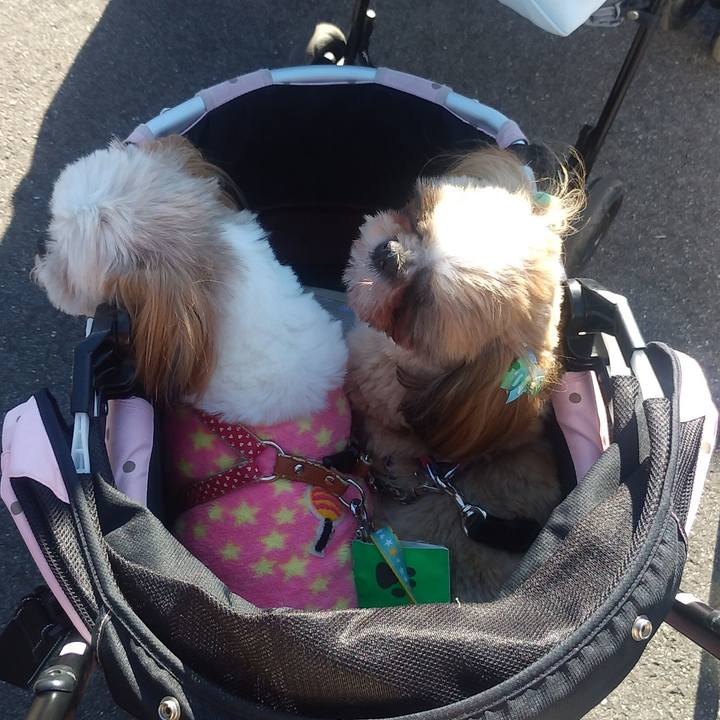 75814a73 9204 4957 8fd5 1802c78eafce 1575791456794