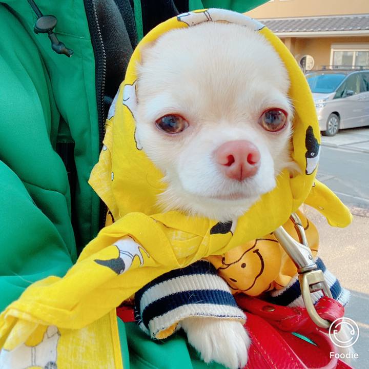 7581a205 2d7e 4d8f 9e8d ddcf98292213 1643275976724