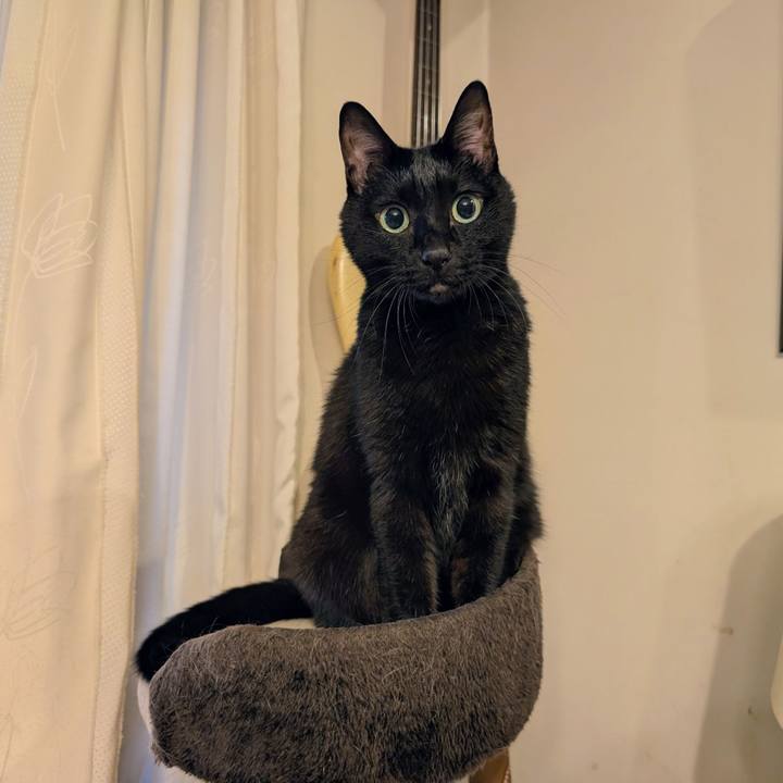 7581a72a 5636 4730 81ea 44fa7adf1c62 1762211034484