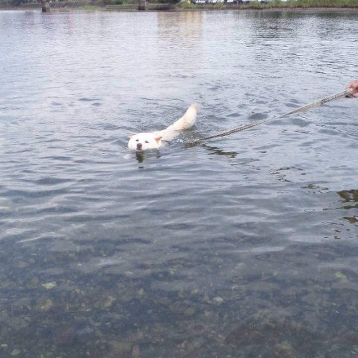 7581d640 f1a0 4273 aedd 3e7355a6e539 1634471765939