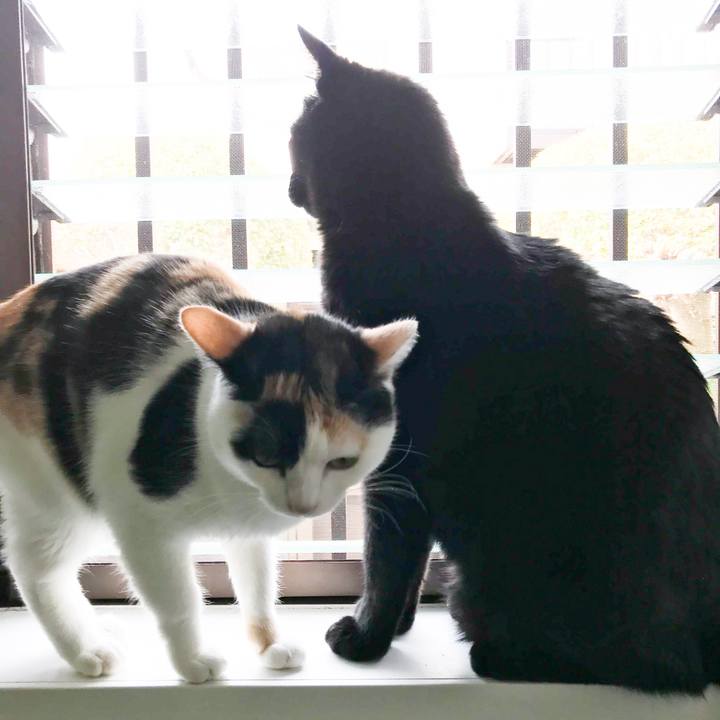 758211f8 fc03 4ce0 89ed 54cd2deb9cdd 1521769289076