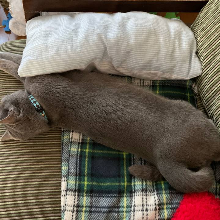 758212a1 b120 4f8c a406 bfa4f8af0457 1587247723233