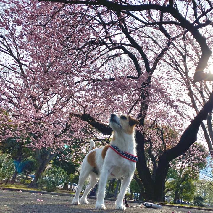 75822262 5502 43df 8b99 13653d4d1af9 1646914572515