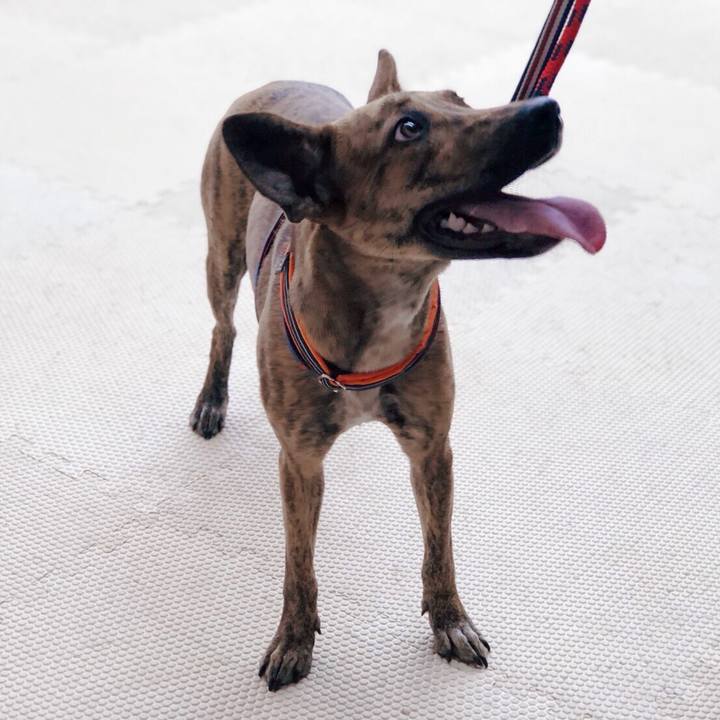 75822d26 a76a 4710 8583 3ba2357bb551 1590143267005