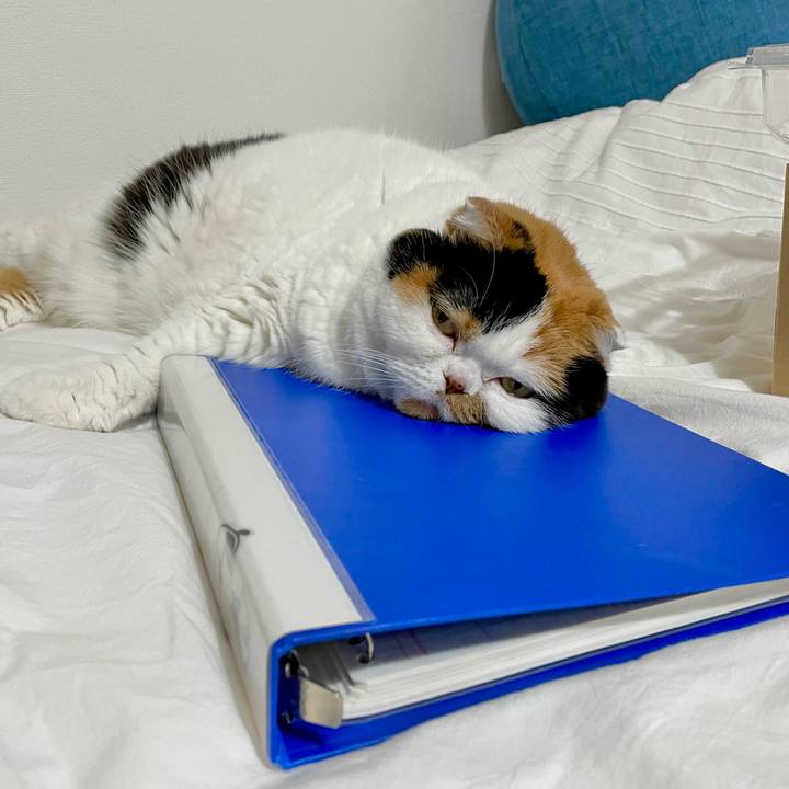 758242a8 2beb 4e8f 833b cd910a4c18e8 1665621338571