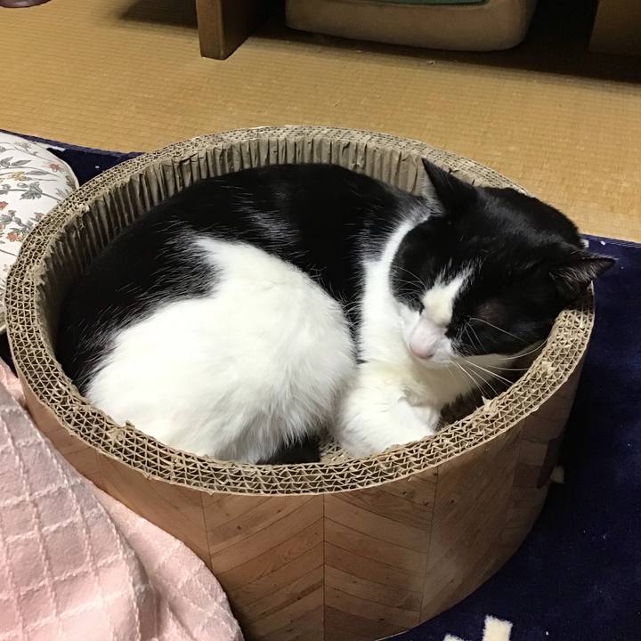 7582a762 fed7 4143 81ea 16d0dbfd0752 1705315233055