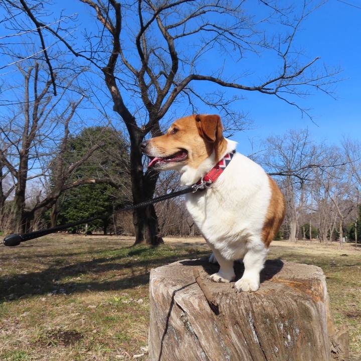 7582af66 1f40 4068 80a9 668688981204 1646525382059