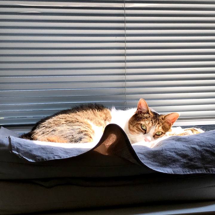 7582bb6d 03dc 4179 92af c825a1687c68 1597818114804