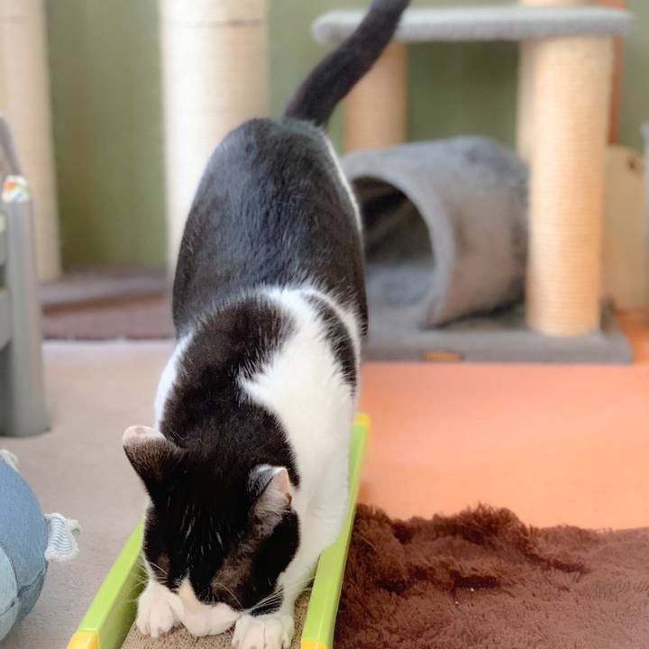 7582d09c 50b9 482a aef5 9f57bb52a0f5 1556243717886