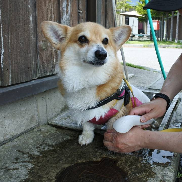 7582dddc 1f40 4fff b817 612f79fc5a11 1685449033709