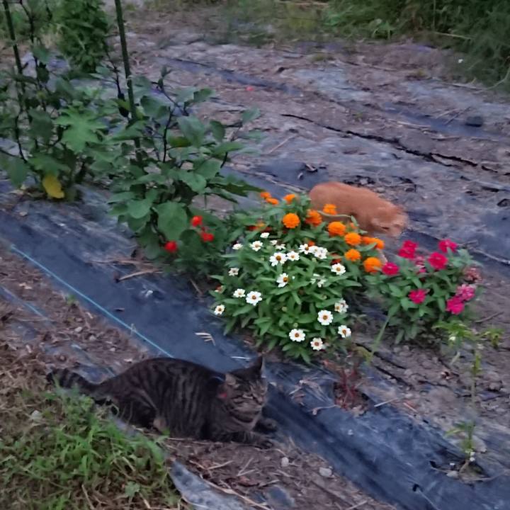 75830ee1 aea0 4414 b9e9 a6007aa7da3a 1661334057900