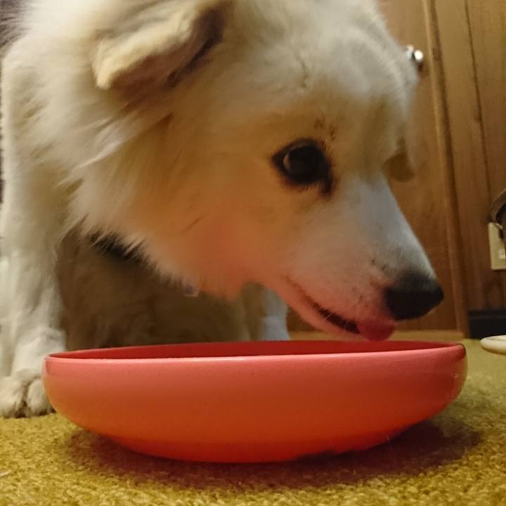 75831234 b325 461b 8c4c 87c2289ea17e 1549056471229