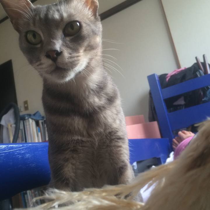 758391bf 18a4 40a0 9888 1d385f91de41 1536920974849