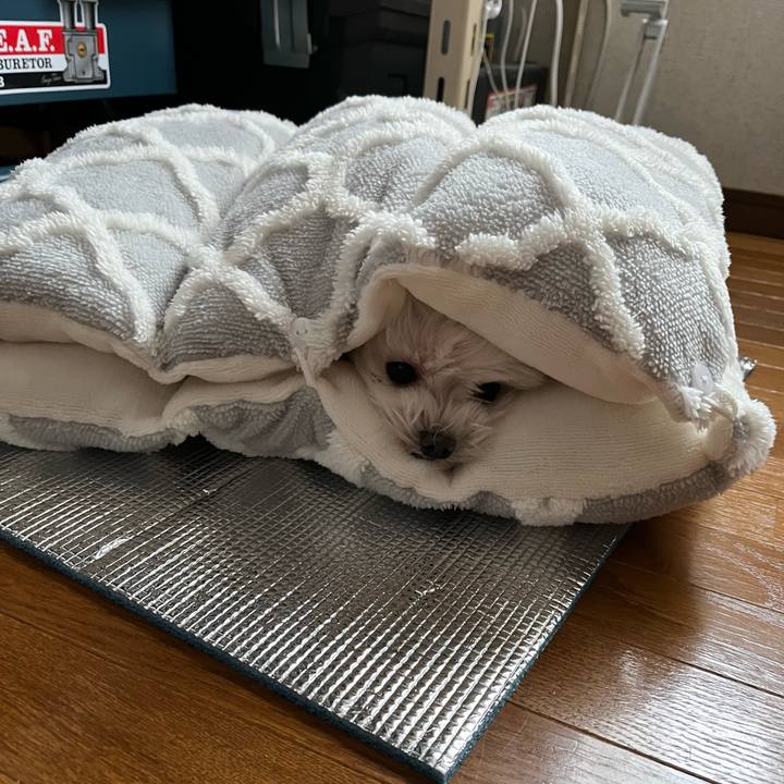 7583aaa9 1051 46ca a137 1eec11146029 1703061280174