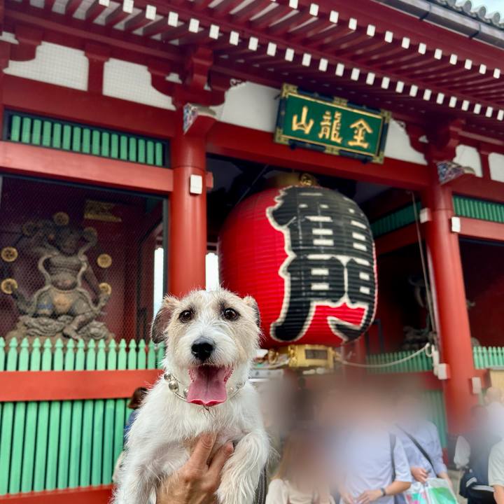 7583acf2 addc 4fb9 a177 74b0aa673e2f 1760372672173