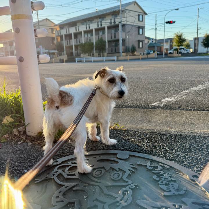 7583d416 43d8 4b9b 86f2 364e050d0b7a 1762262237187