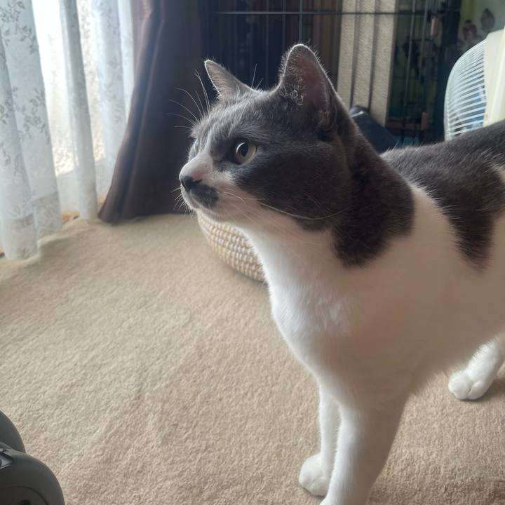 7583d63c 5fae 4239 9cdb 868b69b5c997 1753140970616