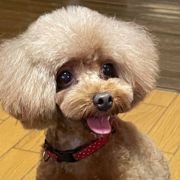 75840078 8f6c 4591 a71c 7f9256cec07e 1627707621419