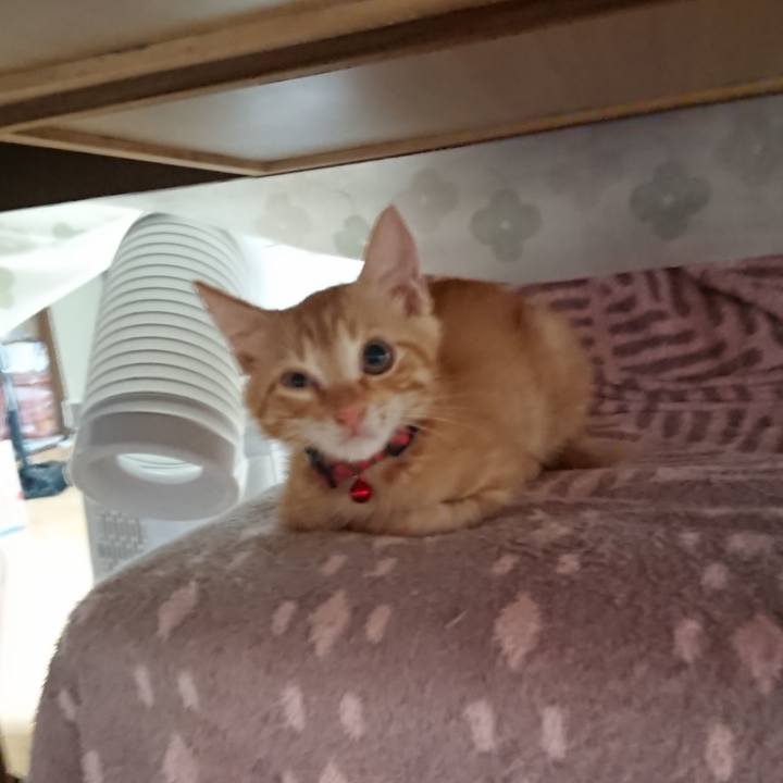 7584099d 2d39 4495 ae99 e7b7071b224e 1630299410147