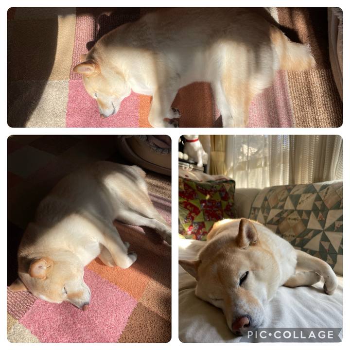 75845073 0ce8 45cd 8aac 0bc50041b3f4 1707873232705