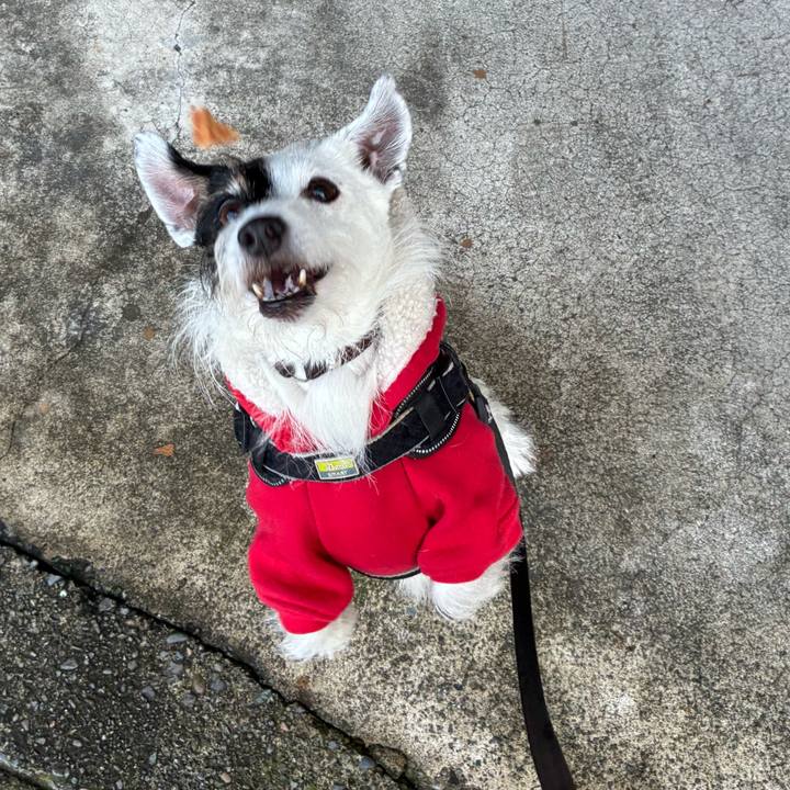 75845707 63dc 4d6d b53c 8b32099357de 1762387055045