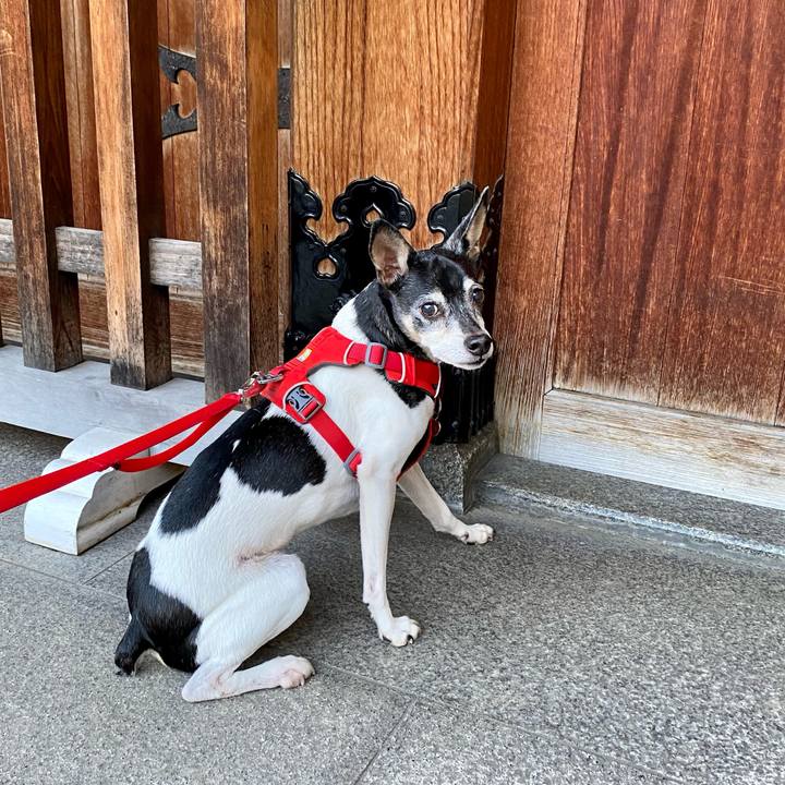 7584ac7f 4358 4585 986b b4c0eeeba2a3 1613302727215