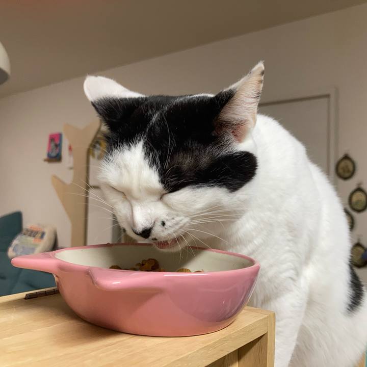 7584b32c b3be 424e 8fb0 52a4769e0287 1763585175657