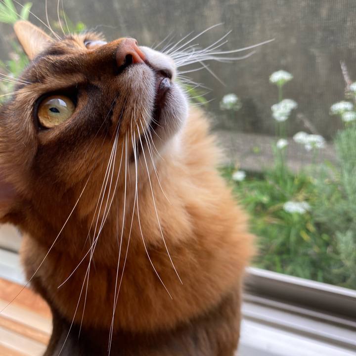 7584d0e7 9471 491b a0a0 fa6114c96cac 1663982489980