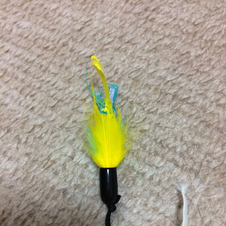 7584e20a fbc8 41df a401 873a04966a00 1526304575760