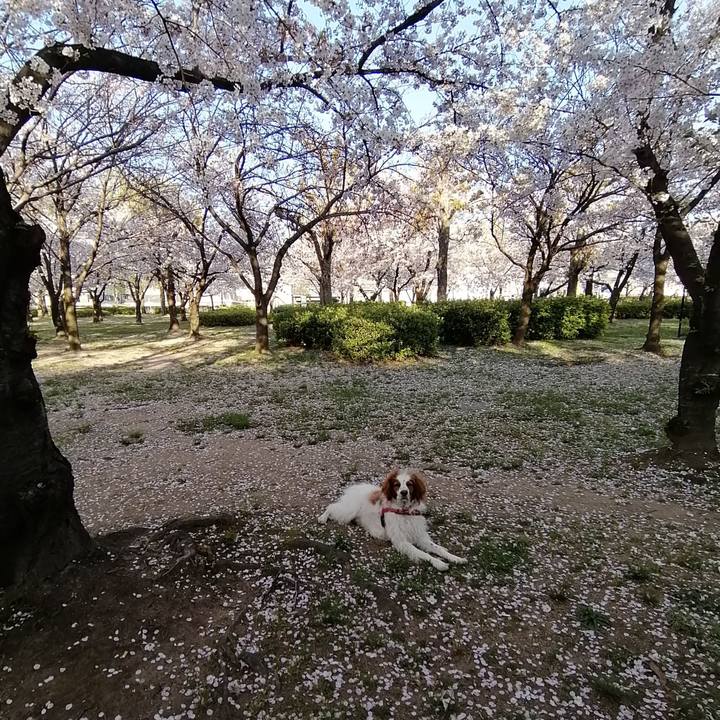 7584f127 6575 4a4c 9179 36f513ff7803 1586260176241