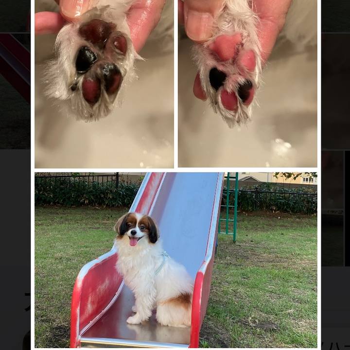 758584c6 8252 42b9 a57d 054c2996c721 1757580664513