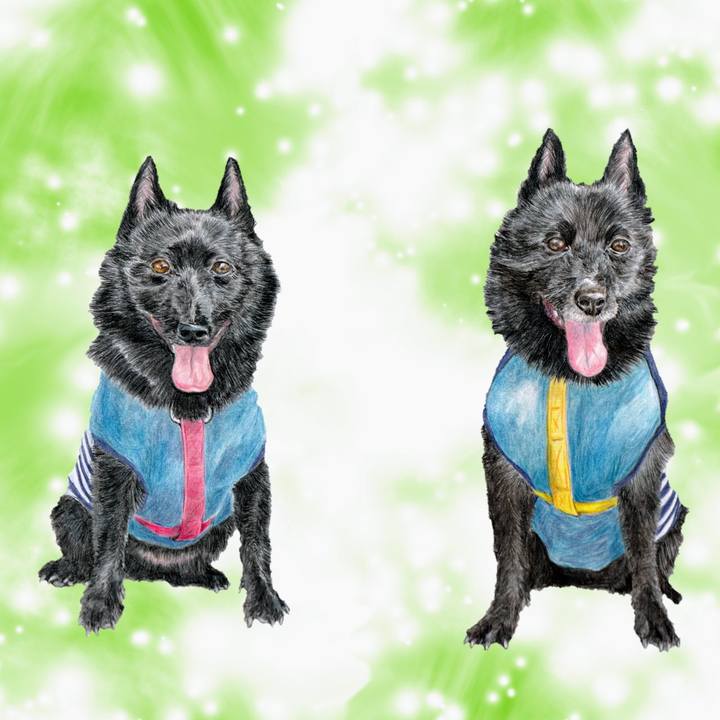 75858be2 3162 4f54 a1f5 1bd260fdaa20 1663574732829