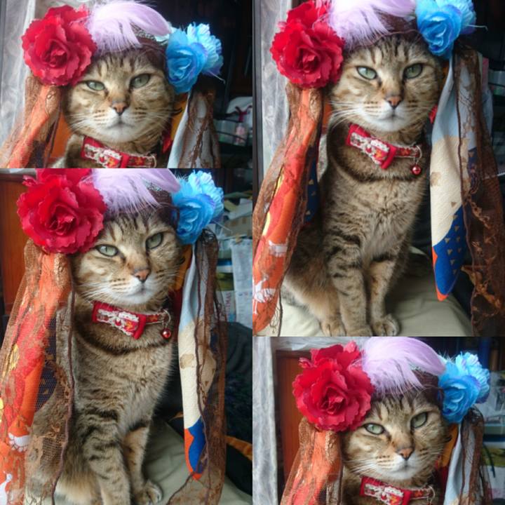 75858e0a 0acc 4b8c 833e 474e79b3a8f8 1766883951346