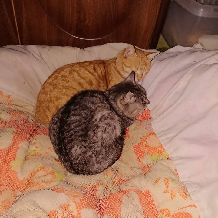 758590fd 95ce 488a 8eda d3f929eff508 1583941338125