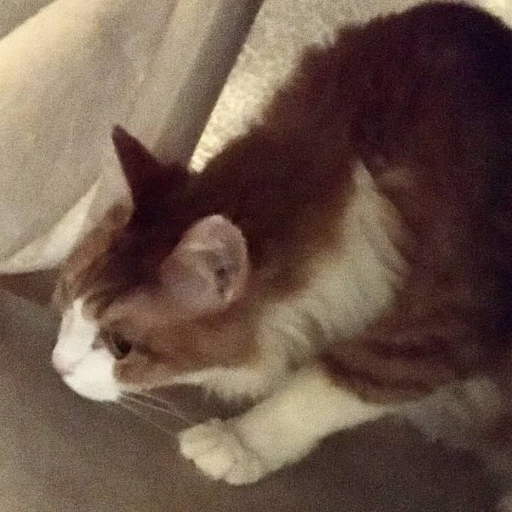 7585ad02 ffb5 436a a955 dd764daa0905 1578650394063