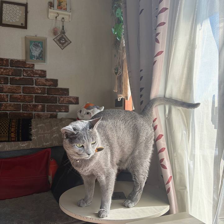 7585e14f cc9b 4c87 9a98 3469aac3e2f5 1763957455649