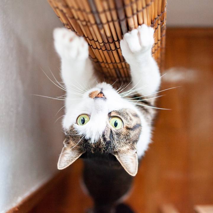 75861480 aaa6 4ea7 bda8 7970909638ba 1607998956744