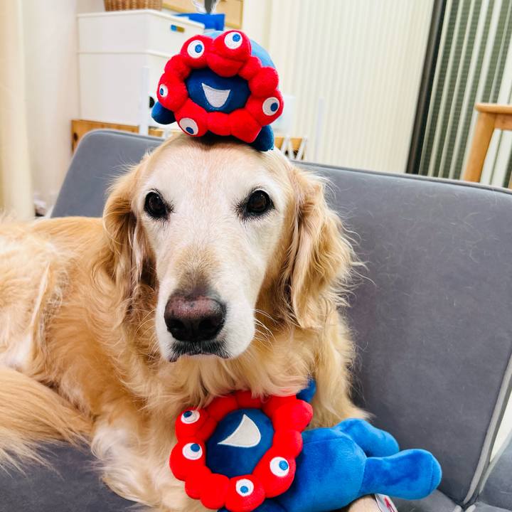 758638f1 846a 45cf 95a1 5bba5fb92fd5 1757040091692