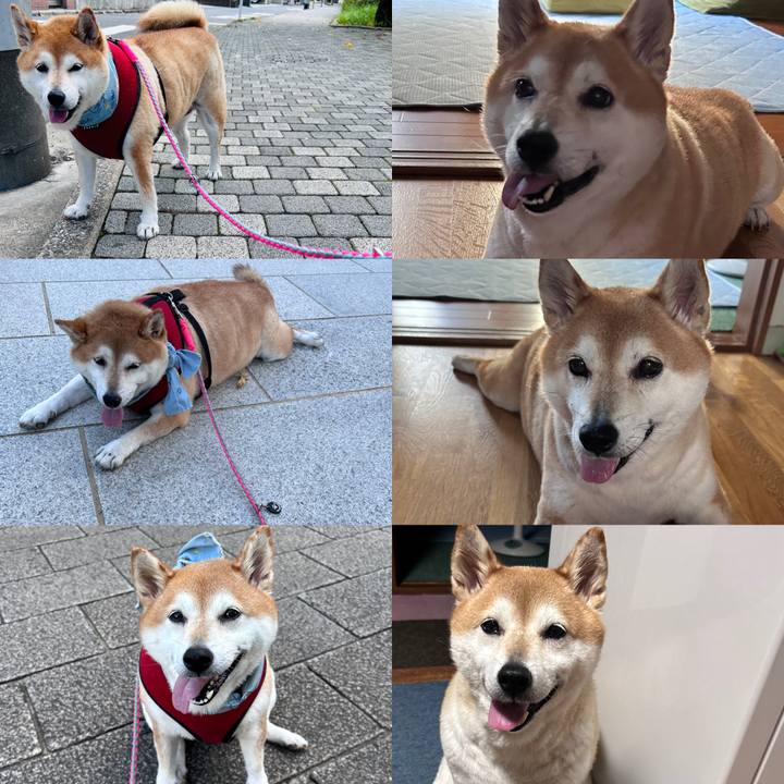 75864df2 5dcf 4948 9ac1 a7f3b3491dff 1725903057896