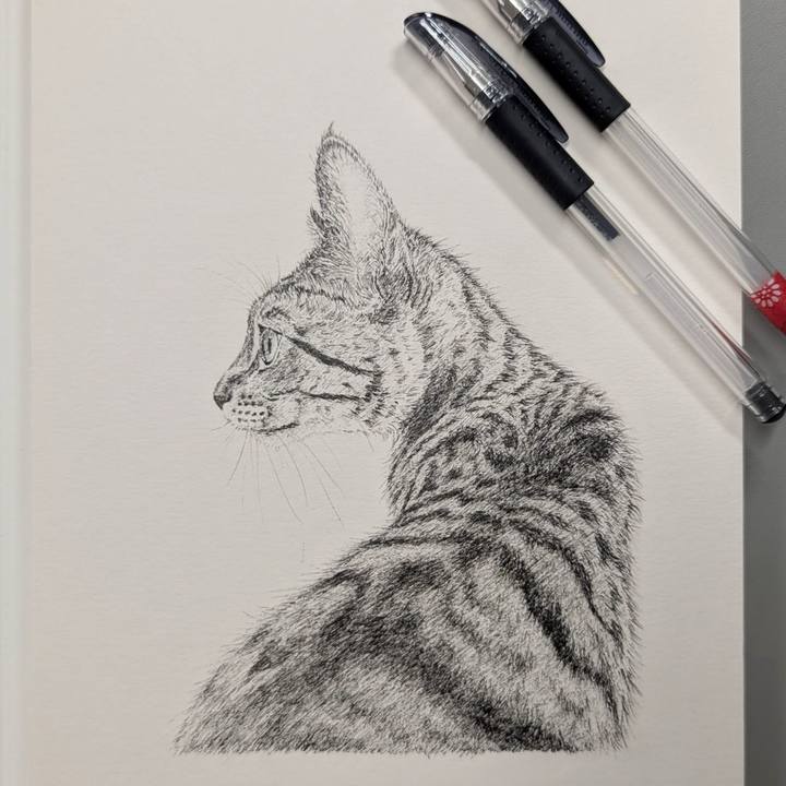 7586928f 5b57 402a 9be9 3b783b949b73 1754575398543