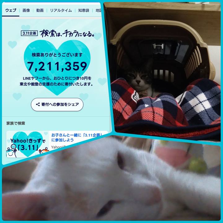 75869581 782f 4984 9477 a51425025699 1710156579287