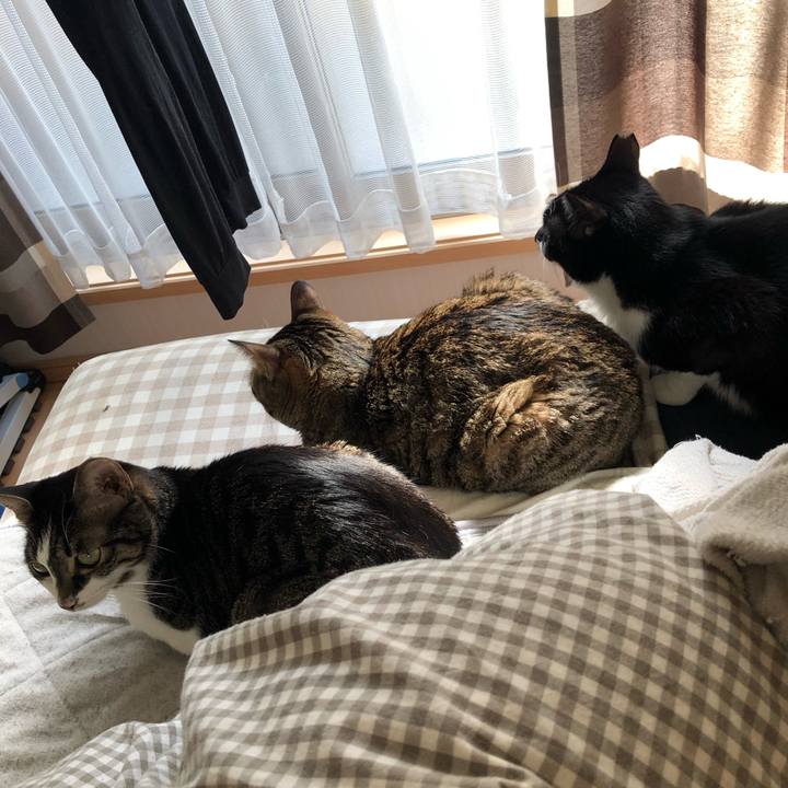 7586b240 37e1 4890 8745 aaea4d0d5aa7 1551180474878