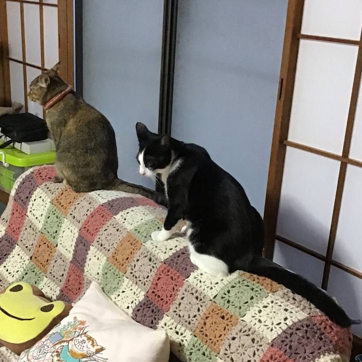 7586c36f 090d 4cb9 a3eb 086d52c7a6fd 1634029645554