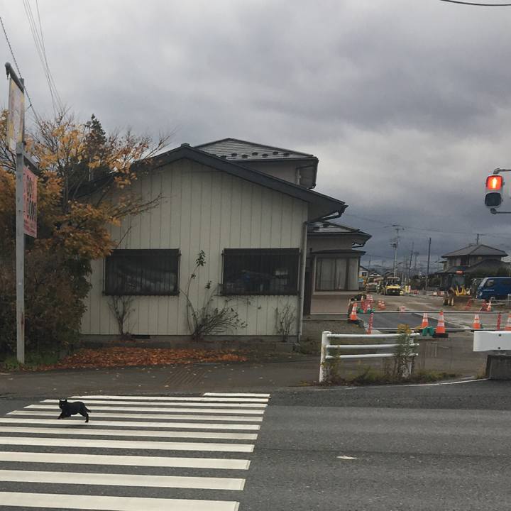 7586e9d0 b72a 4063 a567 876c158569bf 1542783310064