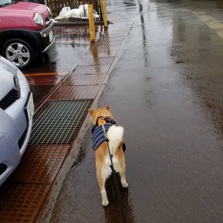 7586f24e d643 4686 b37d 60b92ee37388 1613366766428