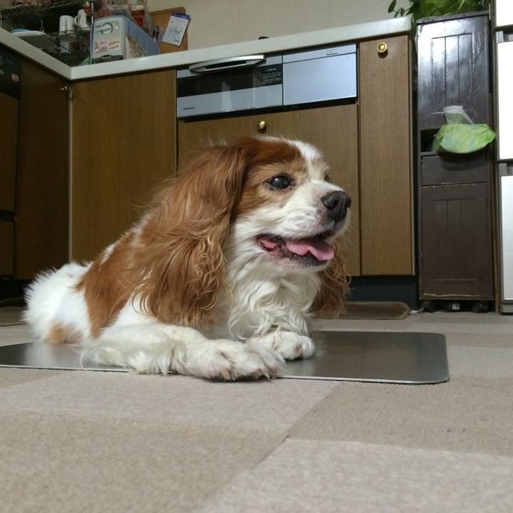 758701c4 3f29 4d1f 8b11 7433219941e5 1511003831394