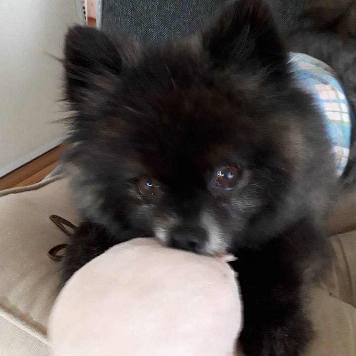 7587020f 320f 475c 87b3 3b5bc05f6754 1542846461748