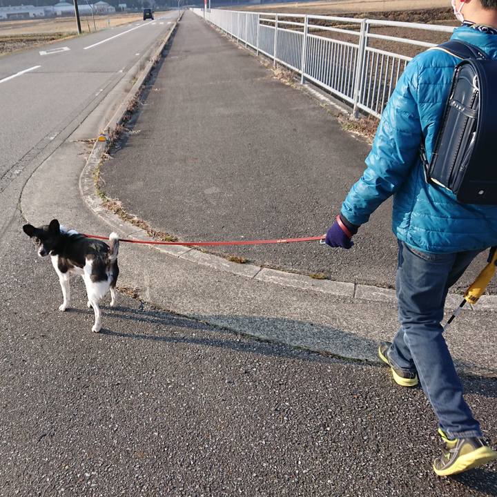 75870818 d081 4da9 b84b 7d47b22c325a 1520815526591